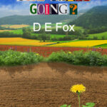 Where Is All The Grass Going? by D E Fox